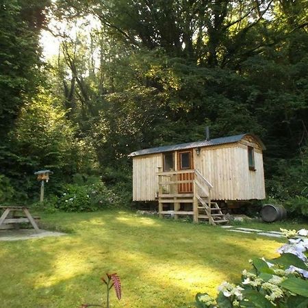 'Morris' The Shepherd'S Hut And Woodland Hot Tub Experience Carmarthen Eksteriør bilde