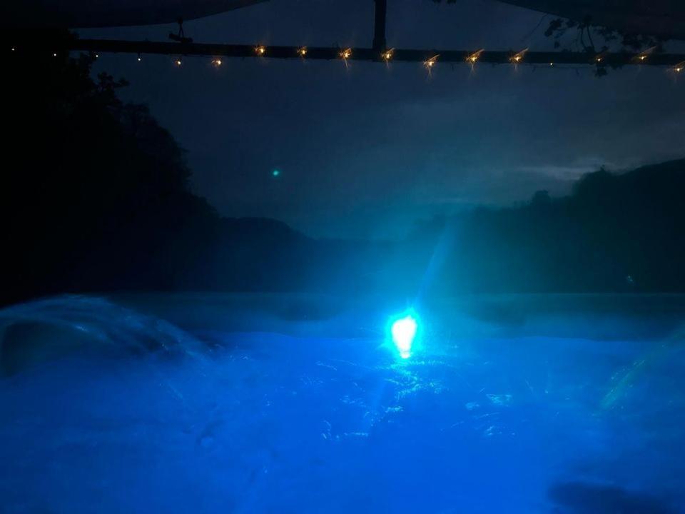 'Morris' The Shepherd'S Hut And Woodland Hot Tub Experience Carmarthen Eksteriør bilde