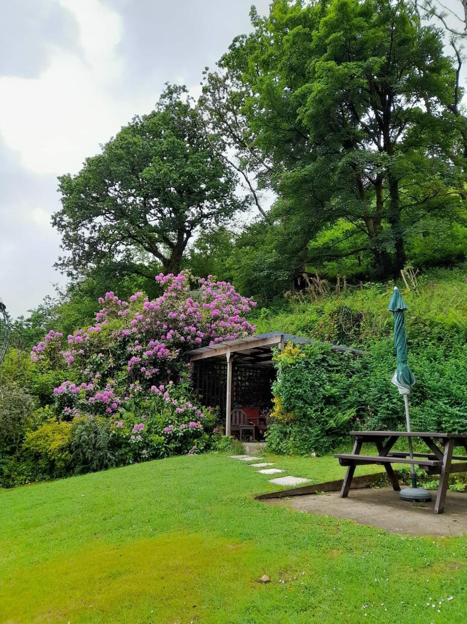 'Morris' The Shepherd'S Hut And Woodland Hot Tub Experience Carmarthen Eksteriør bilde