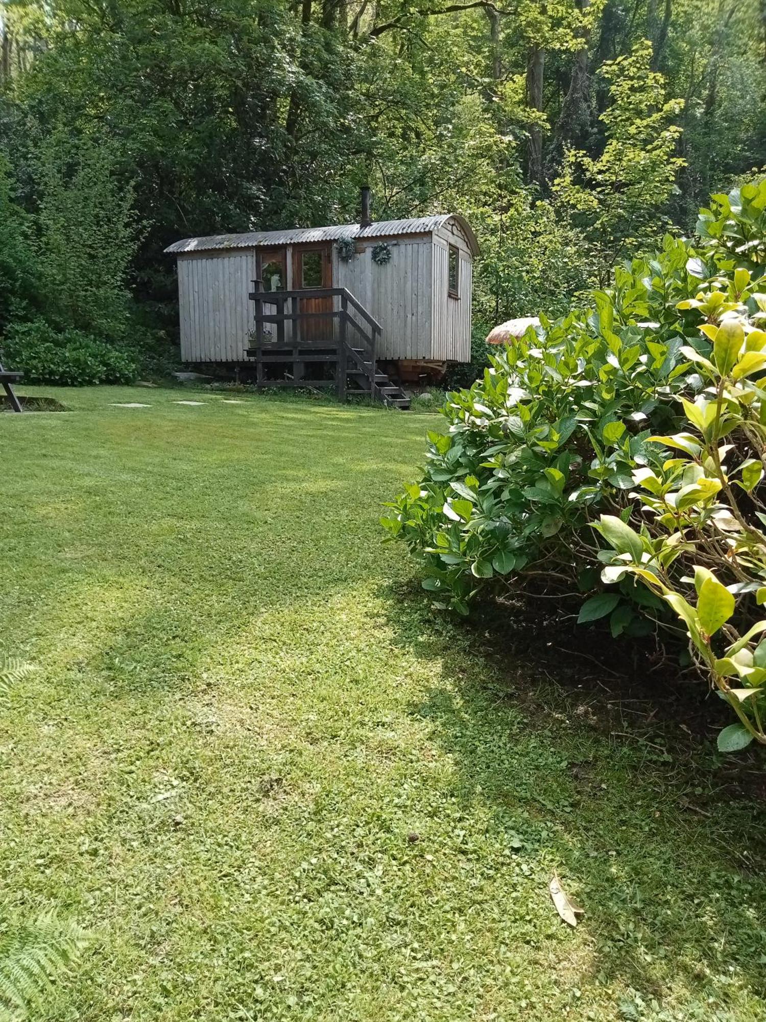 'Morris' The Shepherd'S Hut And Woodland Hot Tub Experience Carmarthen Eksteriør bilde