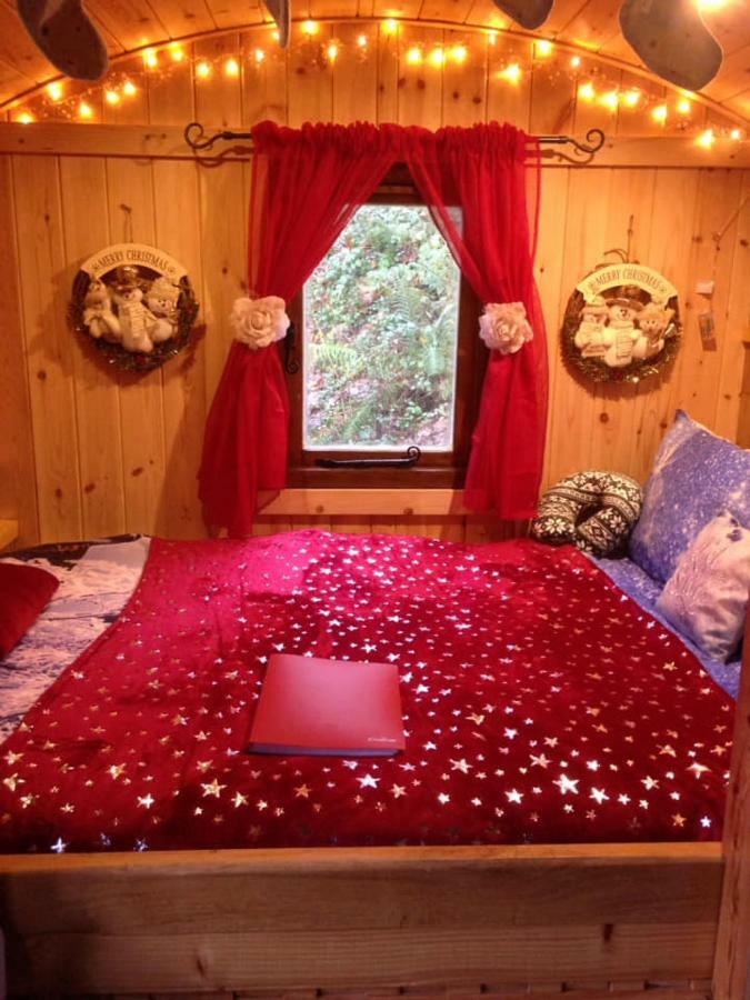 'Morris' The Shepherd'S Hut And Woodland Hot Tub Experience Carmarthen Eksteriør bilde