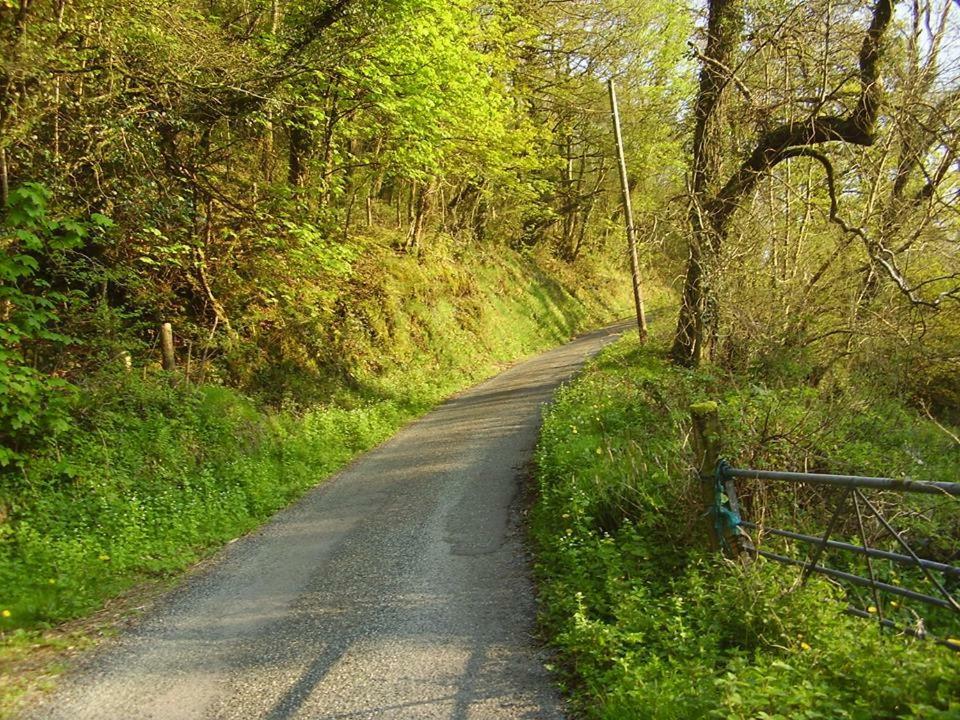 'Morris' The Shepherd'S Hut And Woodland Hot Tub Experience Carmarthen Eksteriør bilde