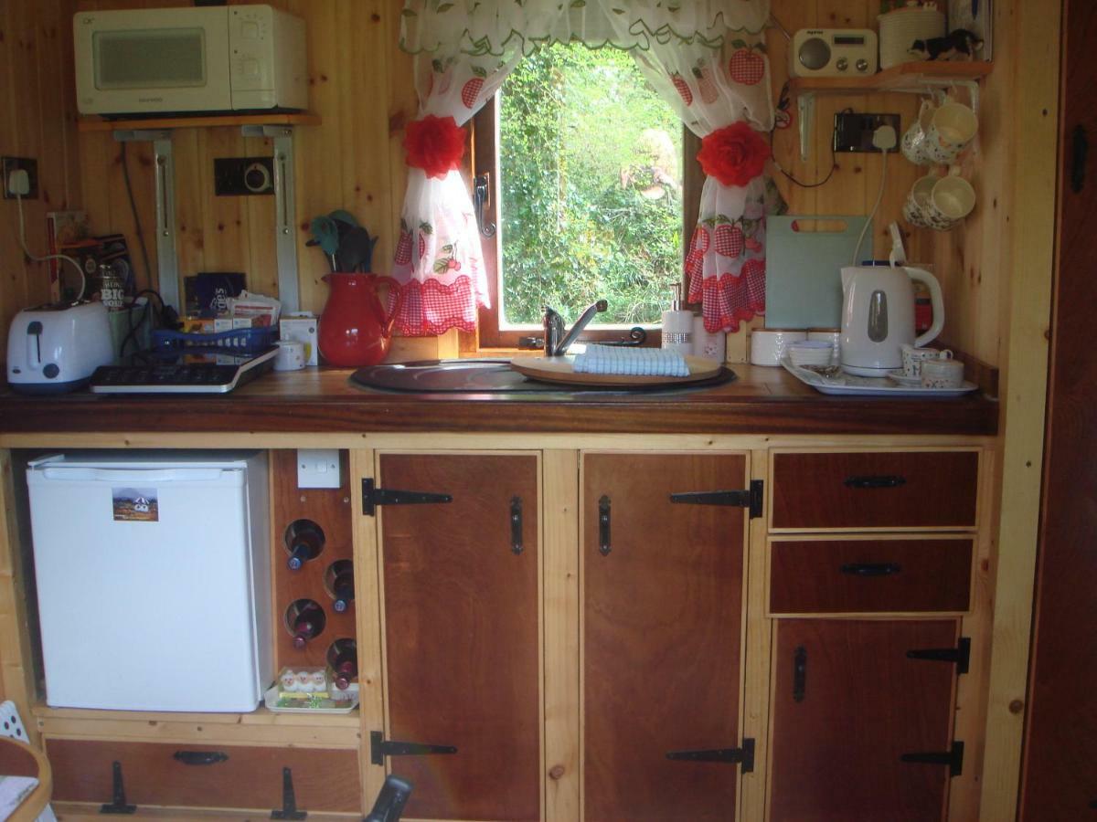 'Morris' The Shepherd'S Hut And Woodland Hot Tub Experience Carmarthen Eksteriør bilde
