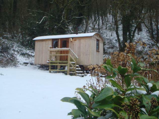 'Morris' The Shepherd'S Hut And Woodland Hot Tub Experience Carmarthen Eksteriør bilde