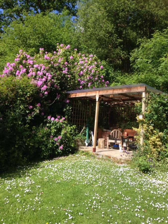 'Morris' The Shepherd'S Hut And Woodland Hot Tub Experience Carmarthen Eksteriør bilde