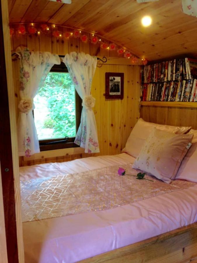 'Morris' The Shepherd'S Hut And Woodland Hot Tub Experience Carmarthen Eksteriør bilde