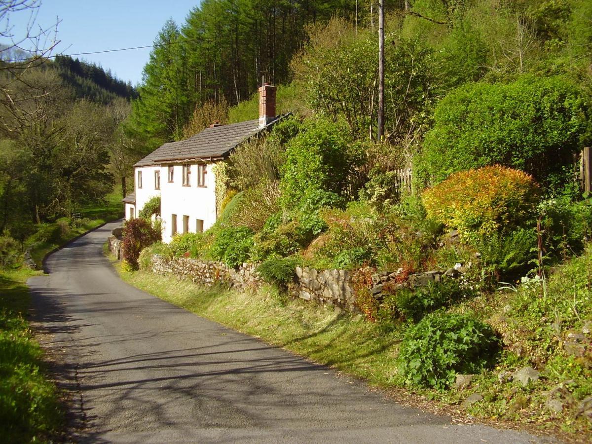 'Morris' The Shepherd'S Hut And Woodland Hot Tub Experience Carmarthen Eksteriør bilde